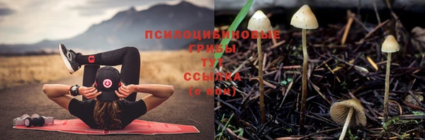 твердый Богородицк