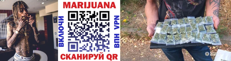 Каннабис OG Kush Новосибирск